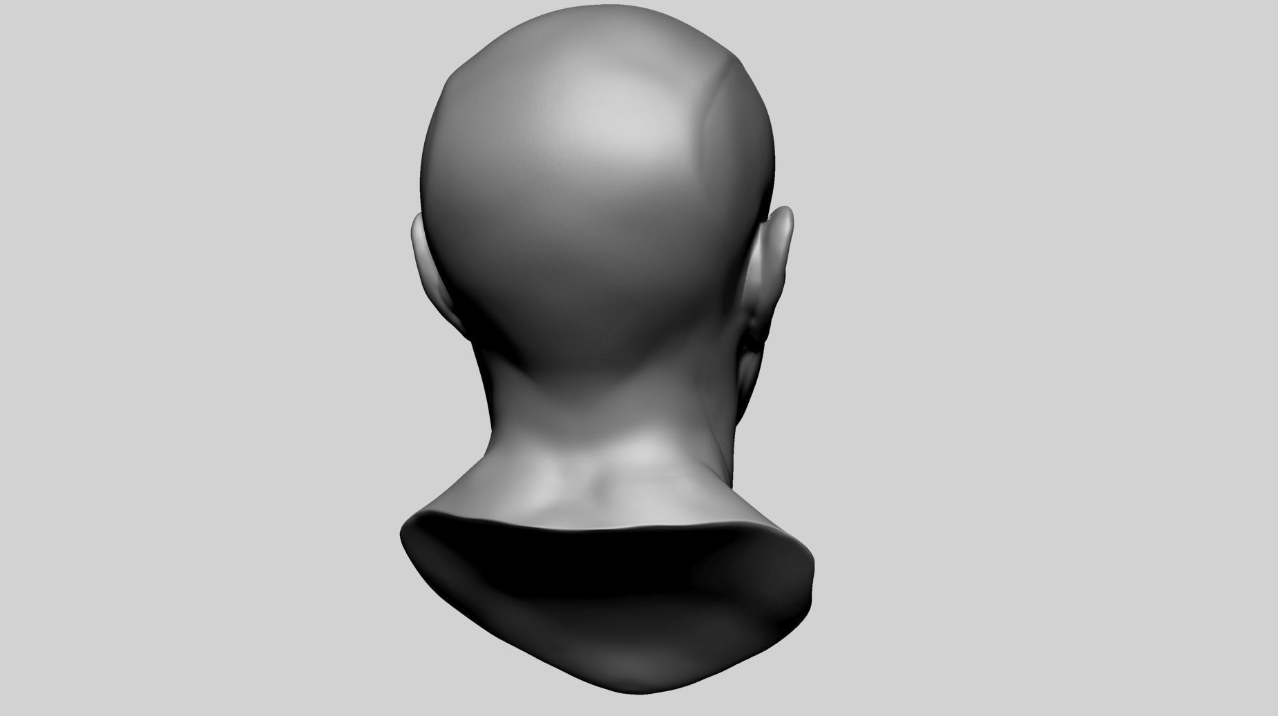 Male Head Anatomy B 3D model_4