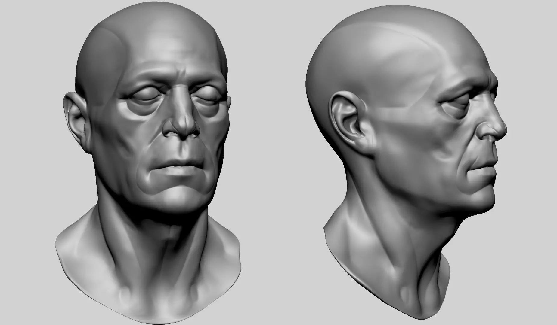 Male Head Anatomy B 3D model_0