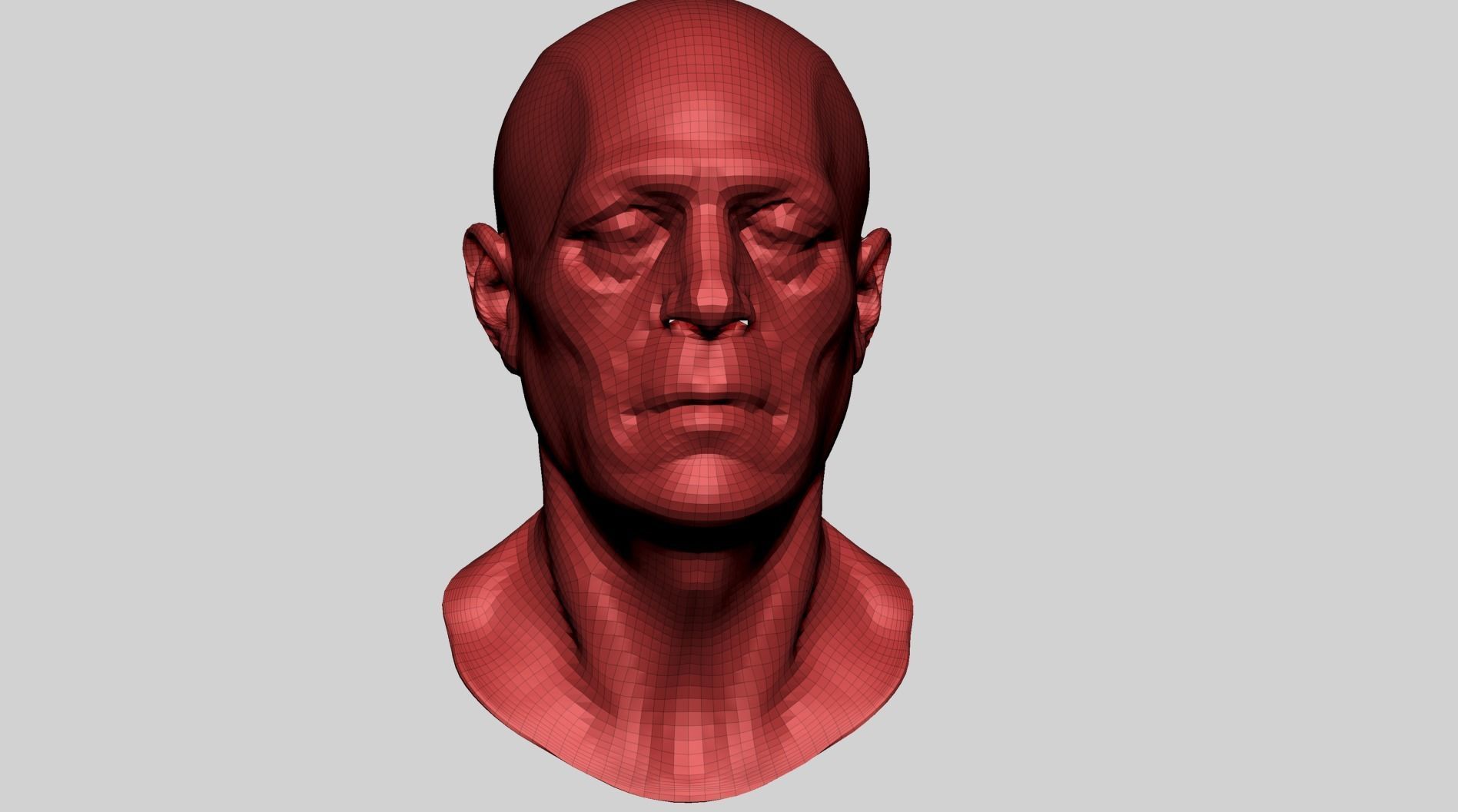 Male Head Anatomy B 3D model_11