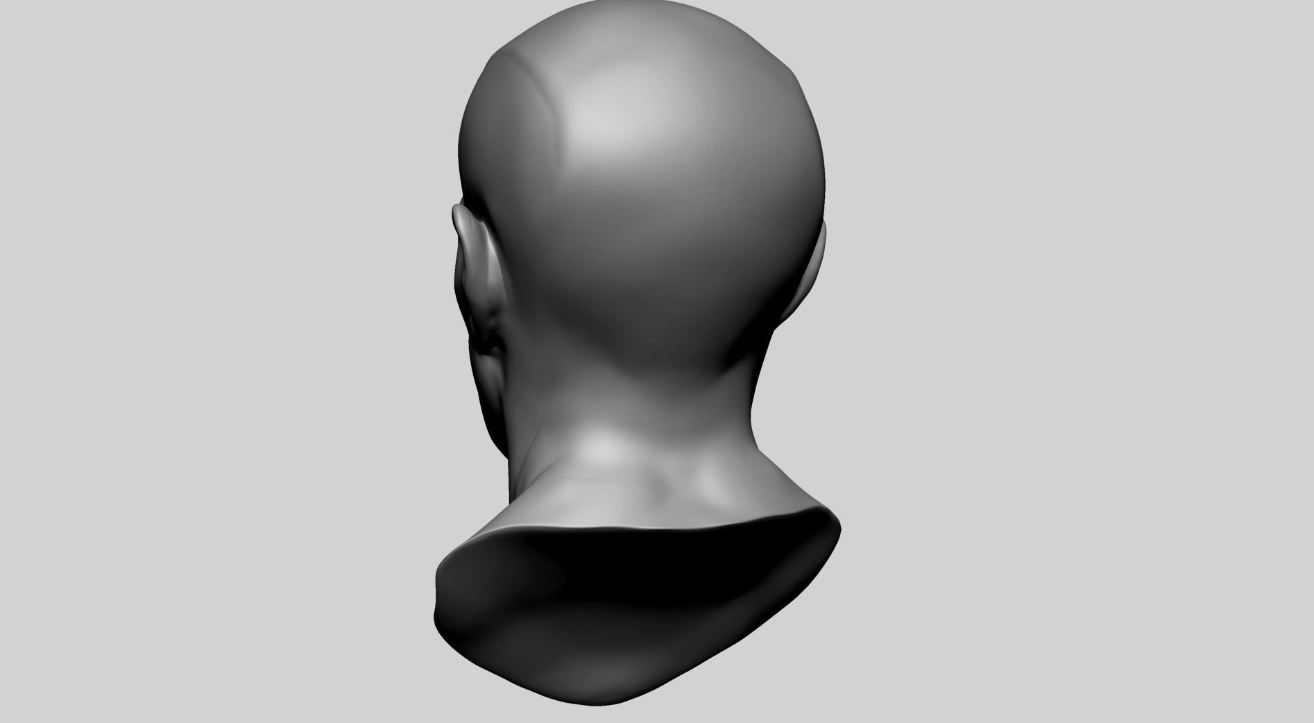 Male Head Anatomy B 3D model_5
