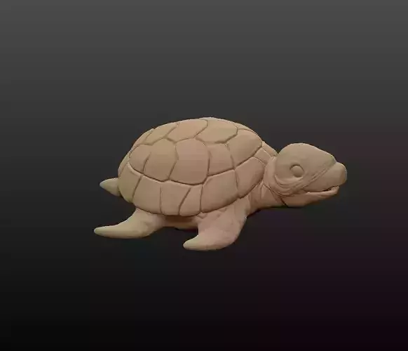 Cute Turtle Miniature