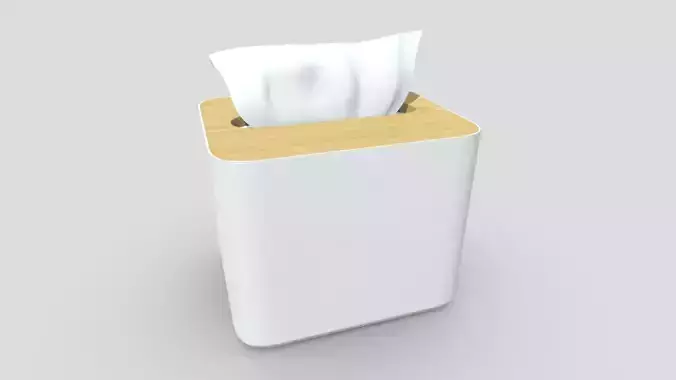 Tissue Box 4