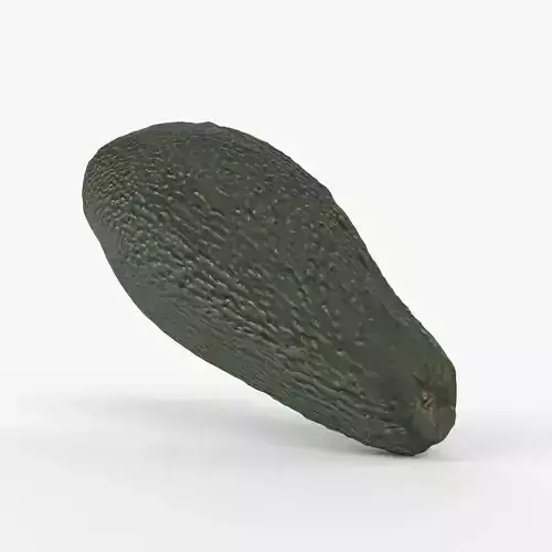 Photorealistic 3D Scanned Avocado