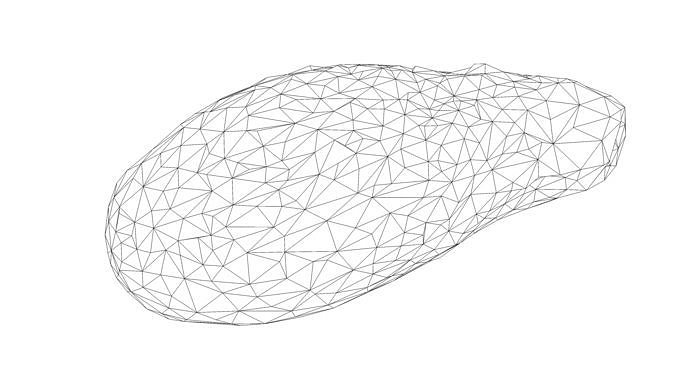 Photorealistic 3D Scanned Avocado Low-poly 3D model 4