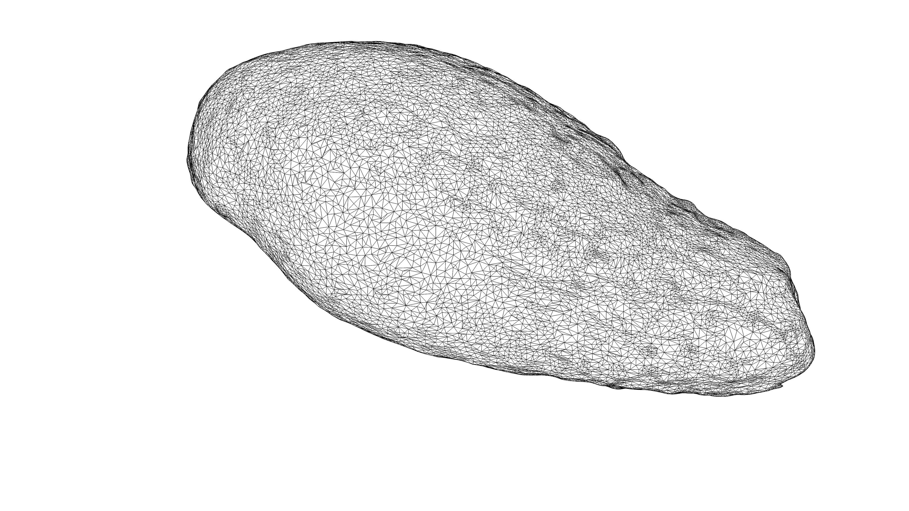 Photorealistic 3D Scanned Avocado Low-poly 3D model_18