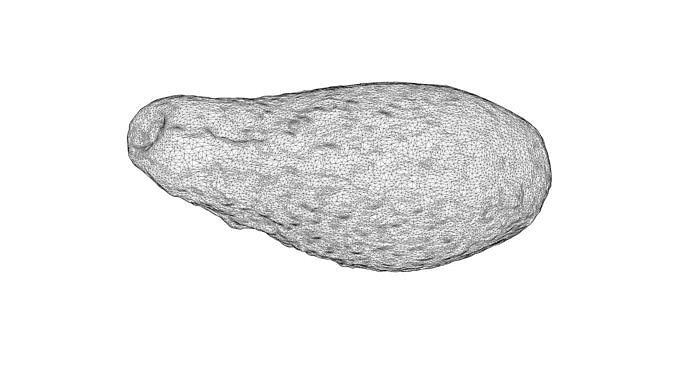 Photorealistic 3D Scanned Avocado Low-poly 3D model 5