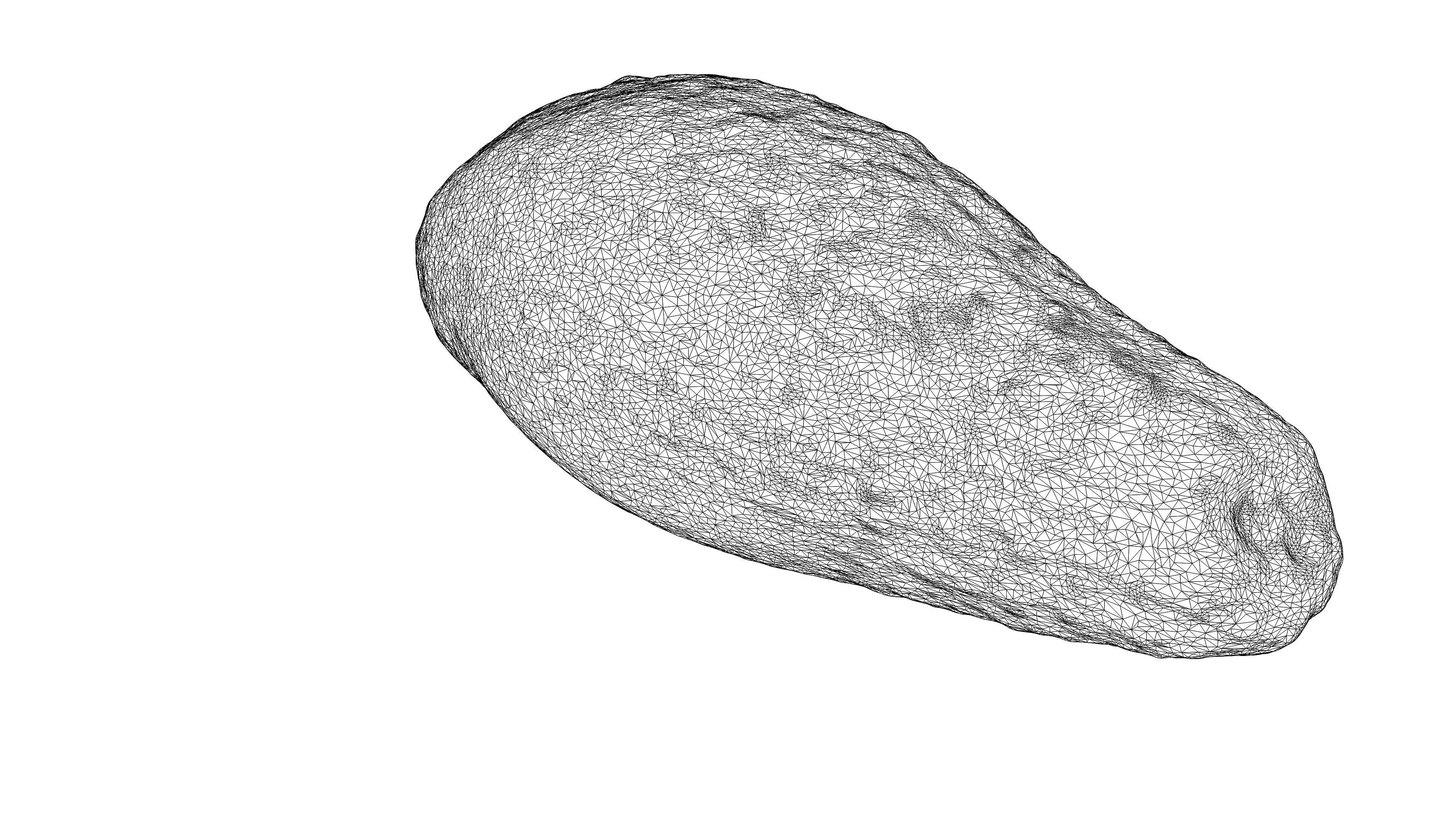 Photorealistic 3D Scanned Avocado Low-poly 3D model_19