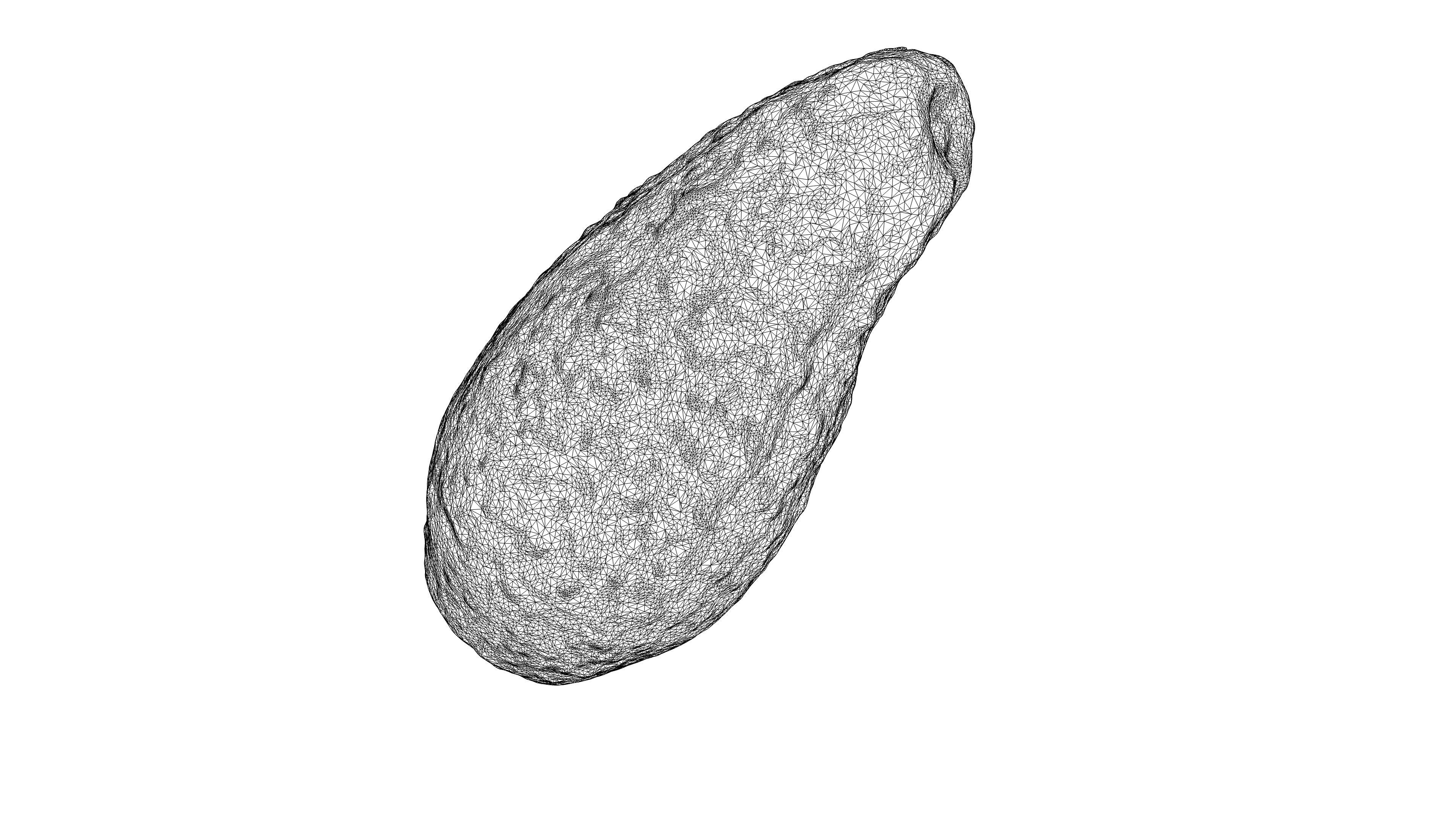 Photorealistic 3D Scanned Avocado Low-poly 3D model_22