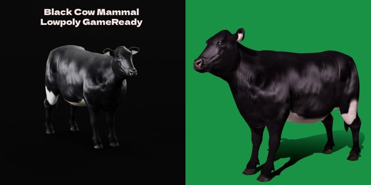 Black Cattle Mammal Low-poly 3D model_9