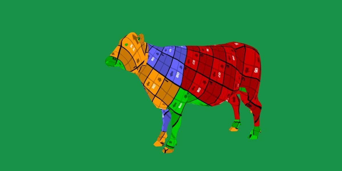 Black Cattle Mammal Low-poly 3D model_21