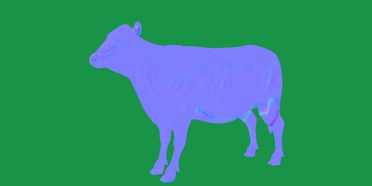 Black Cattle Mammal Low-poly 3D model_25