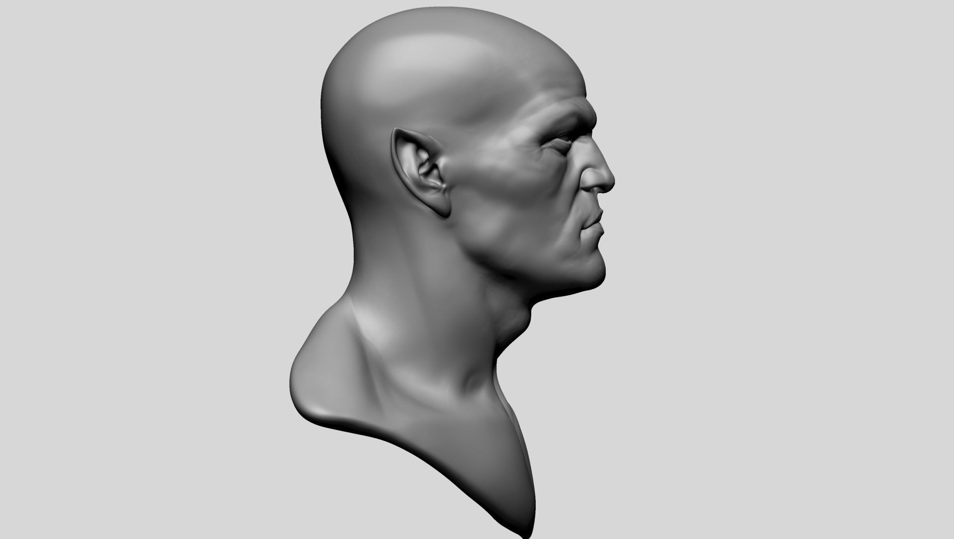Male Head P 3D model_3