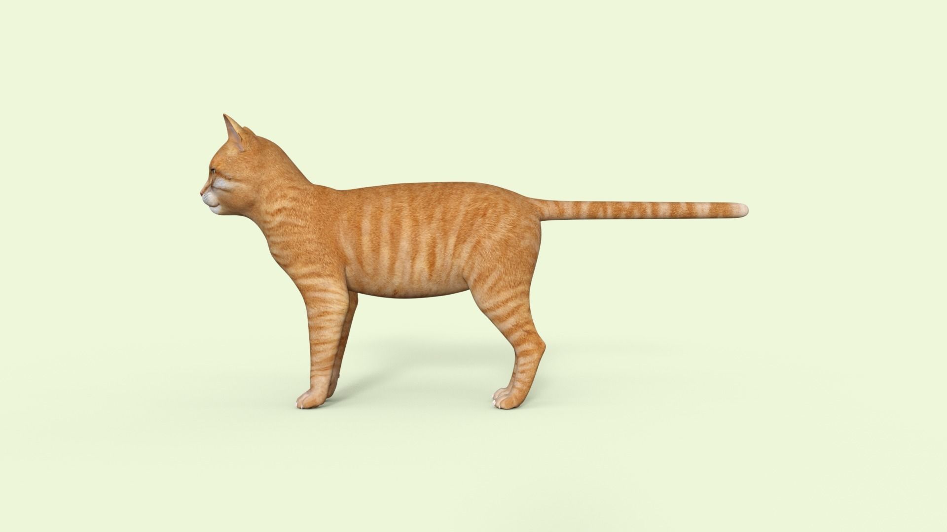 Yellow 3D Cat Rigged 3D model_27