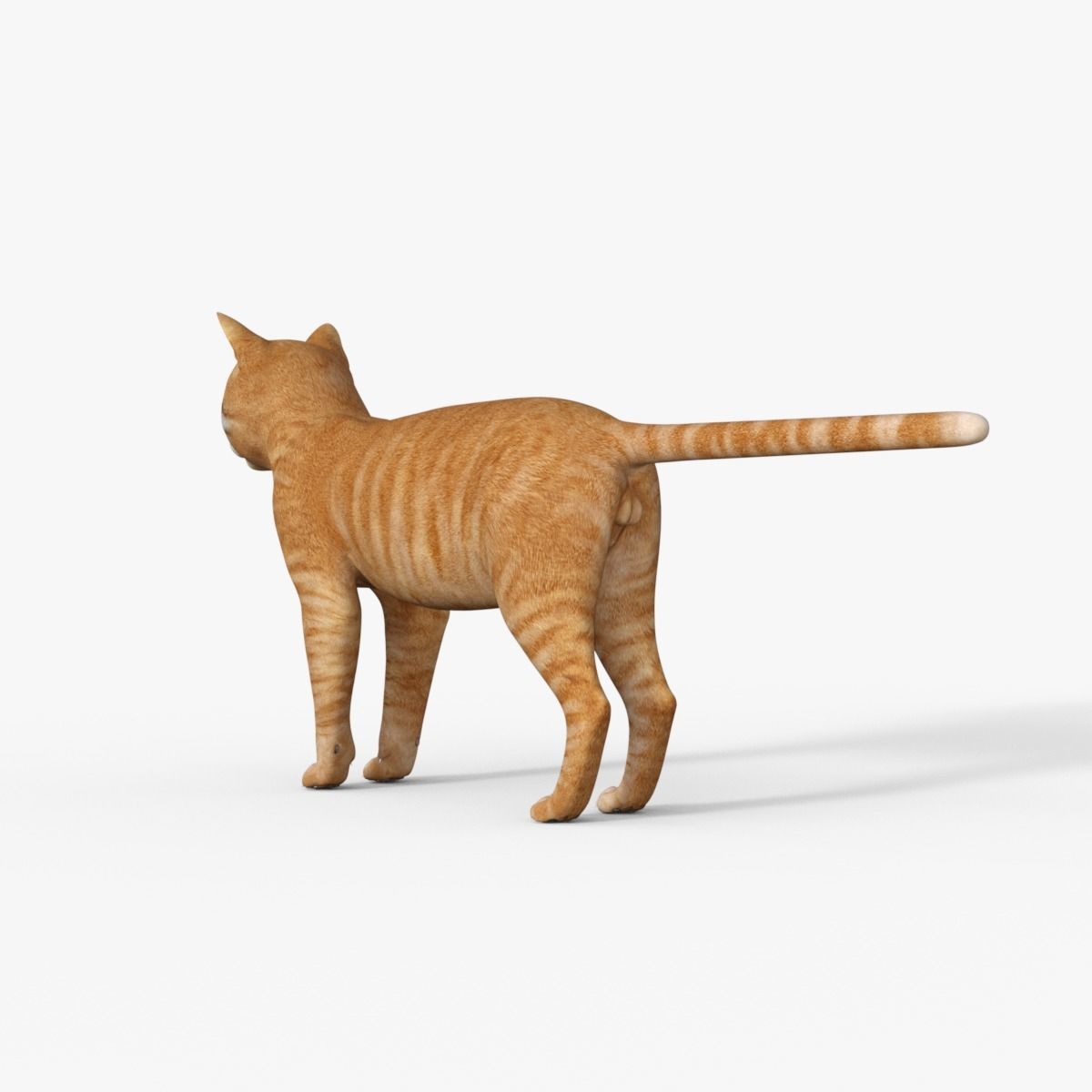 Yellow 3D Cat Rigged 3D model_4