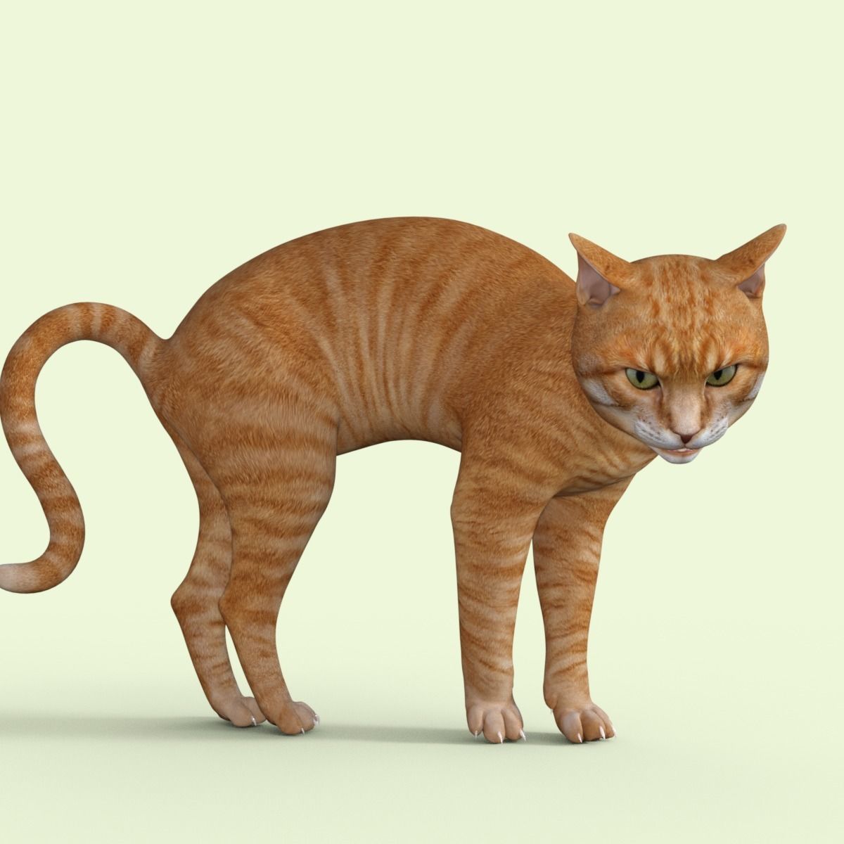 Yellow 3D Cat Rigged 3D model_22