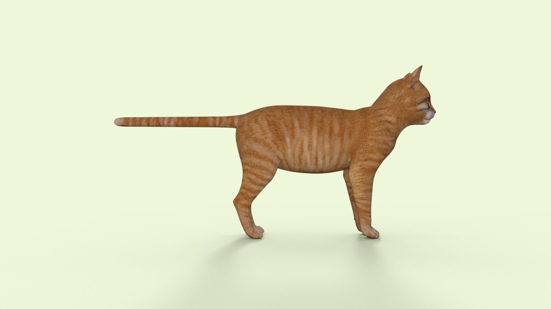 Yellow 3D Cat Rigged 3D model_31
