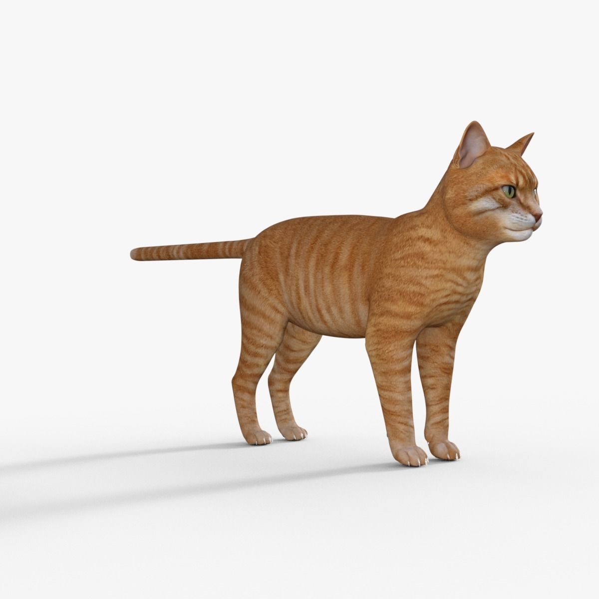 Yellow 3D Cat Rigged 3D model_8
