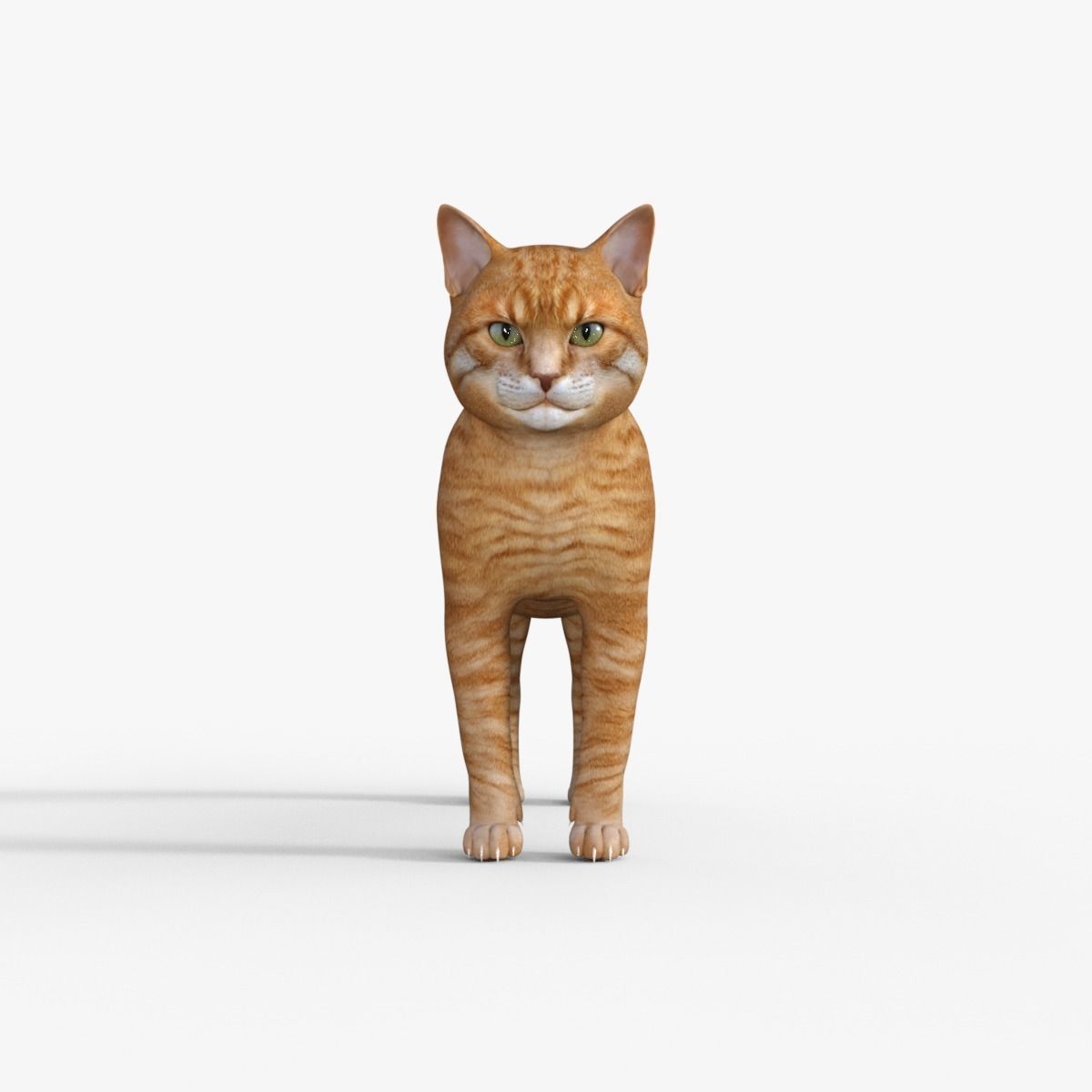 Yellow 3D Cat Rigged 3D model_9