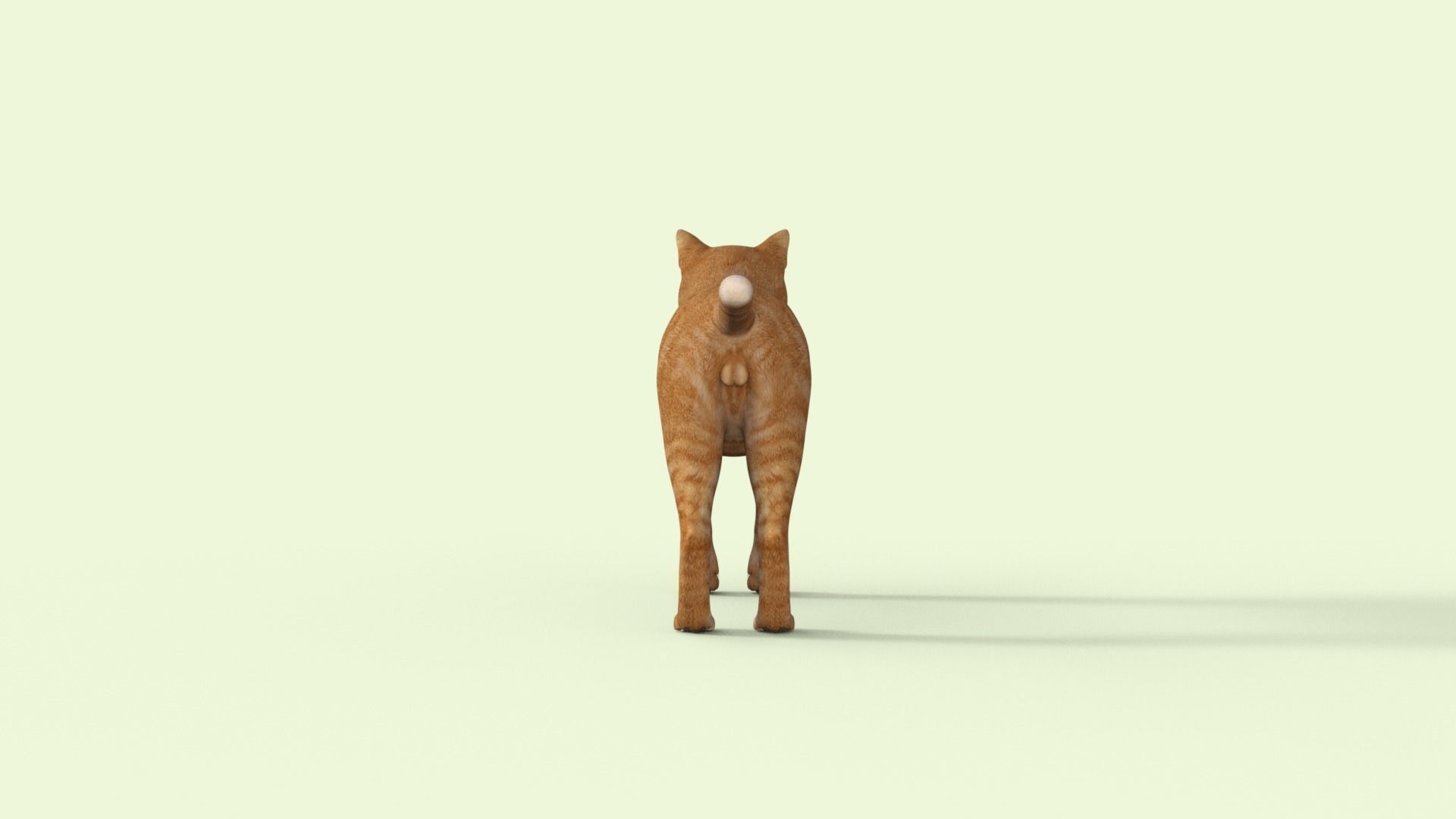 Yellow 3D Cat Rigged 3D model_29