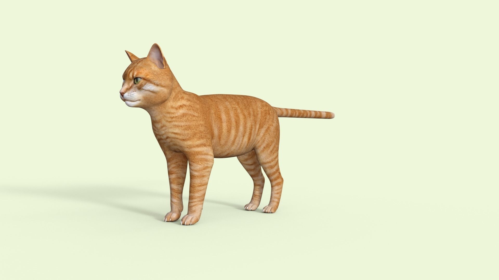Yellow 3D Cat Rigged 3D model_34