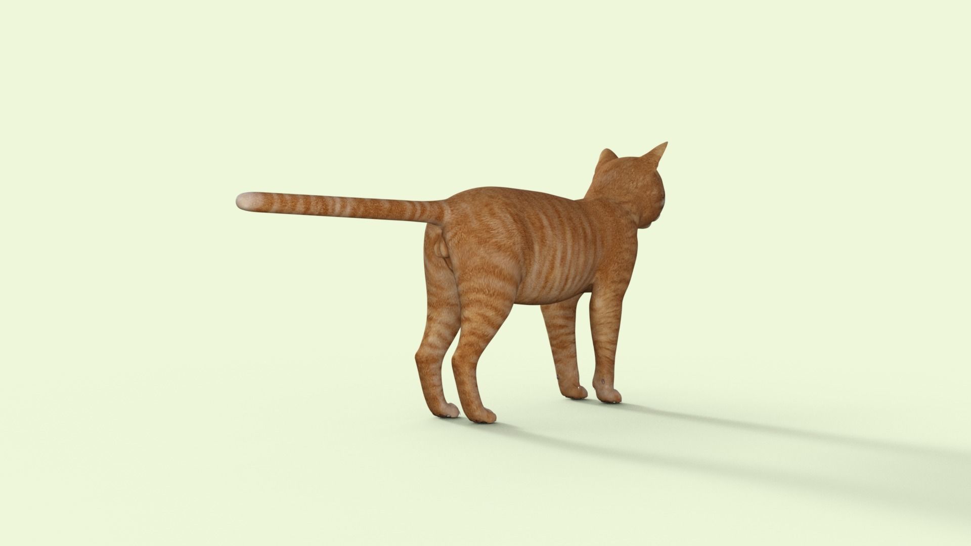 Yellow 3D Cat Rigged 3D model_30