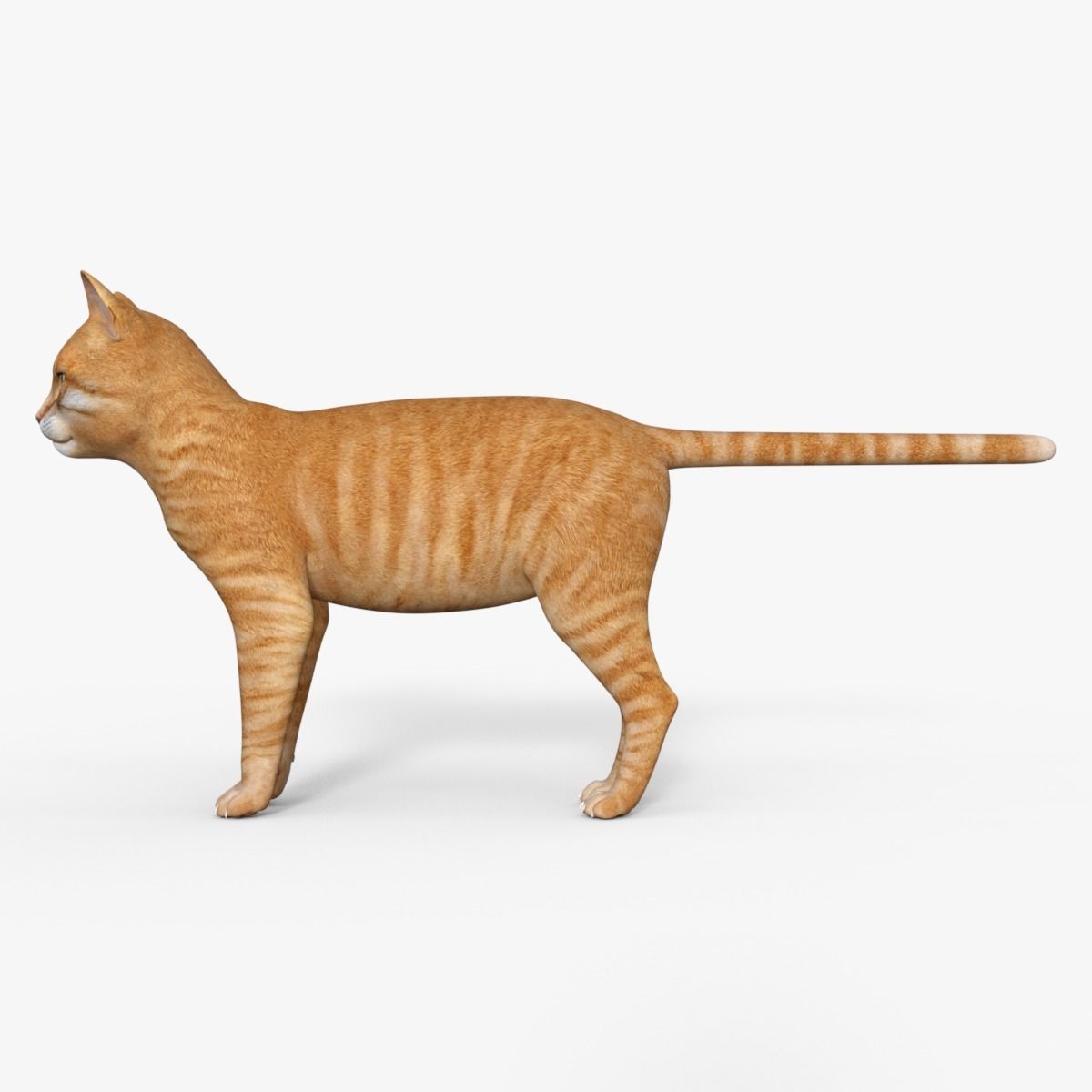 Yellow 3D Cat Rigged 3D model_3