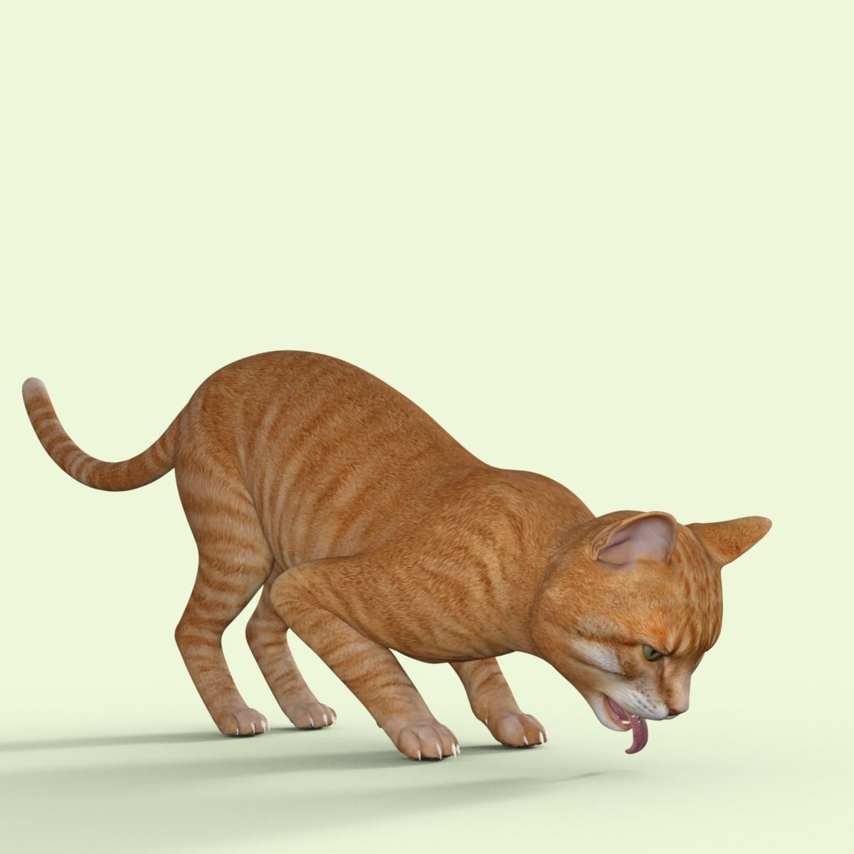 Yellow 3D Cat Rigged 3D model_13