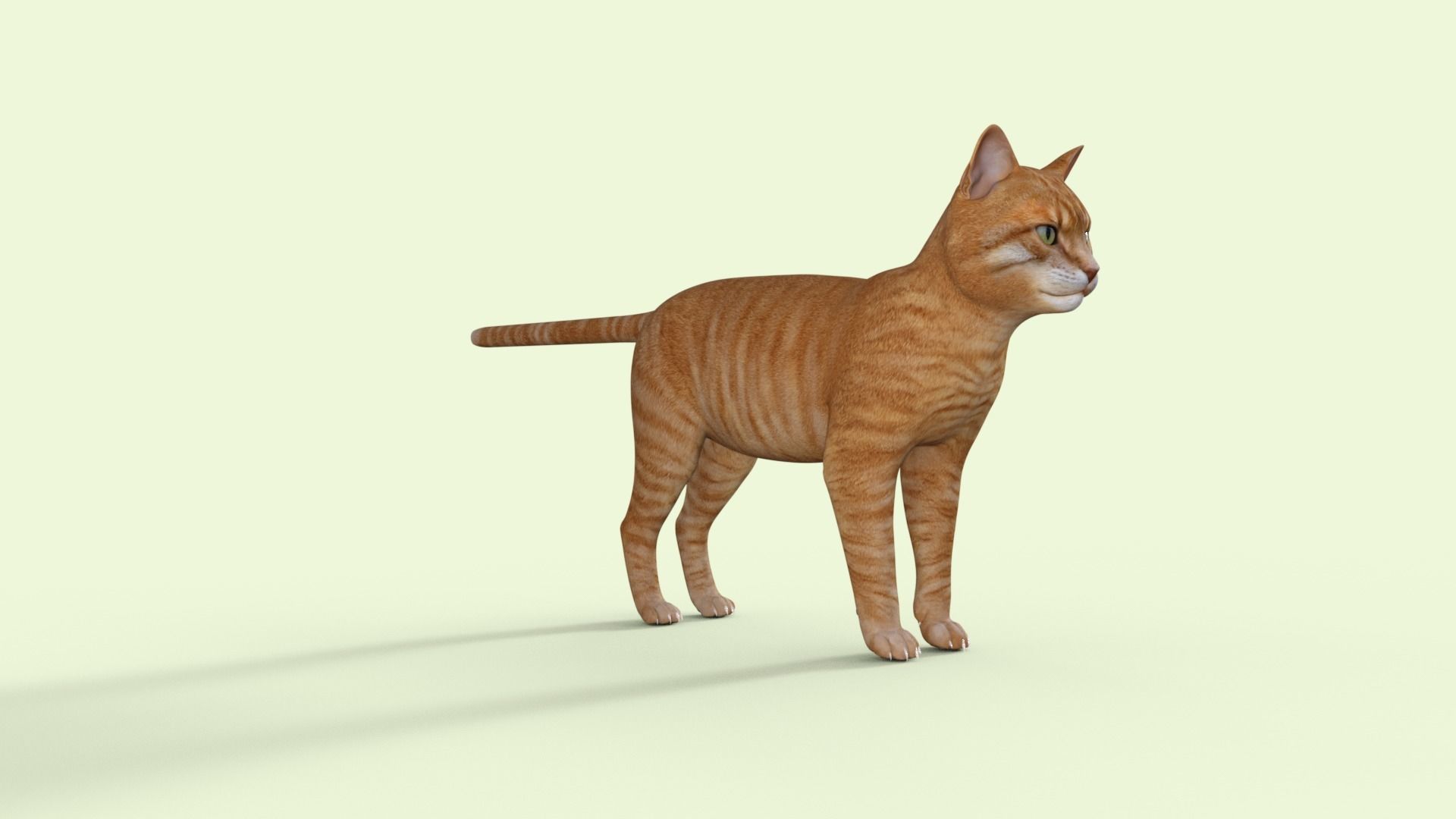 Yellow 3D Cat Rigged 3D model_32