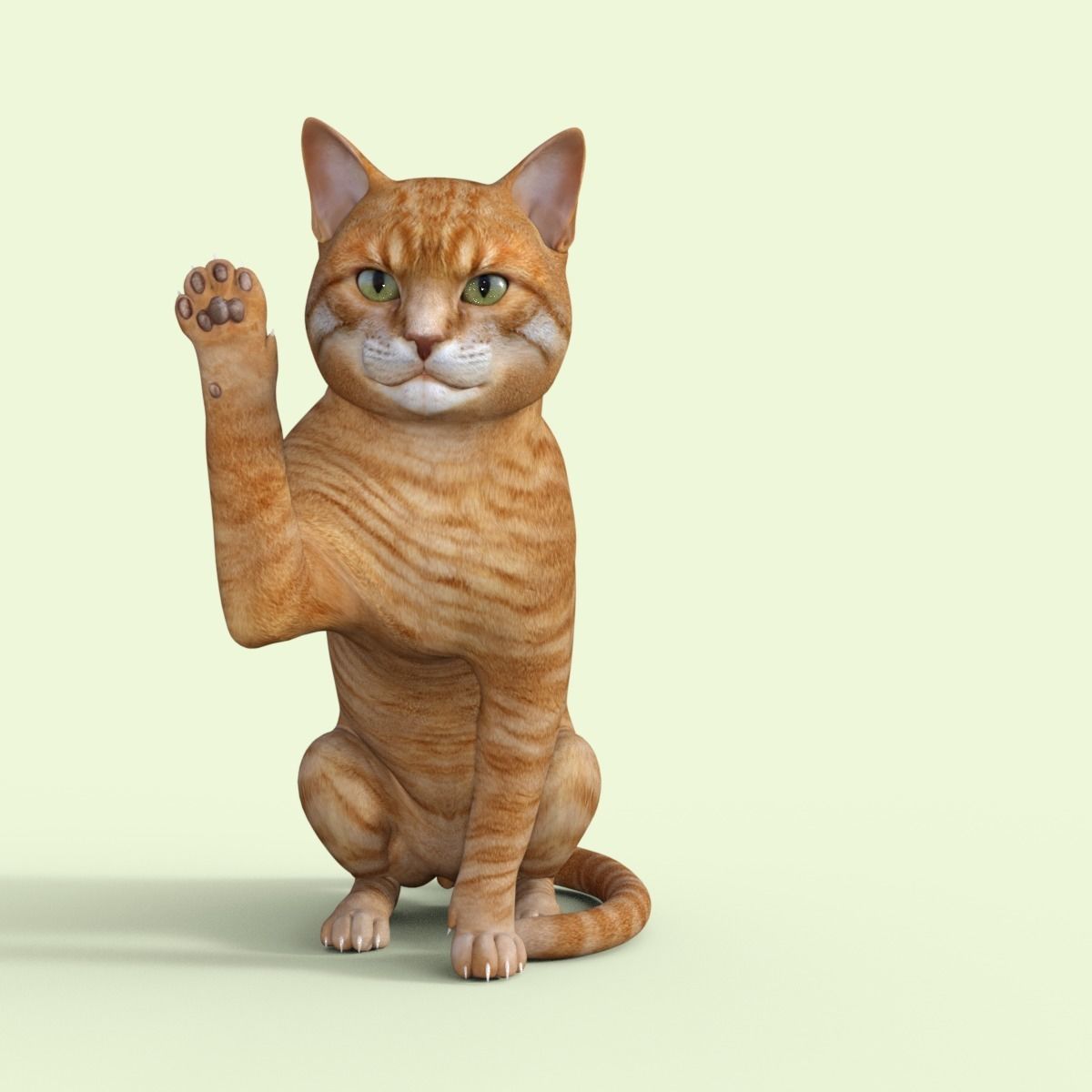 Yellow 3D Cat Rigged 3D model_14