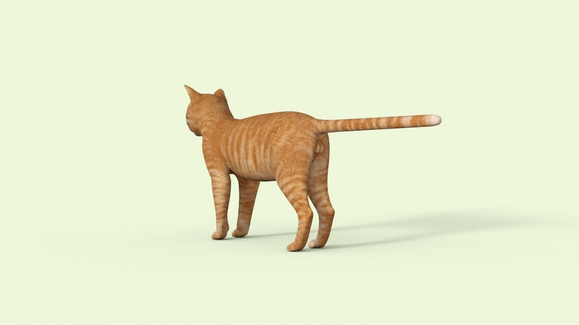 Yellow 3D Cat Rigged 3D model_36