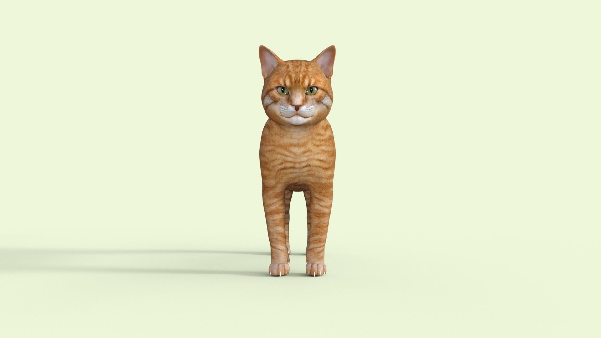 Yellow 3D Cat Rigged 3D model_33