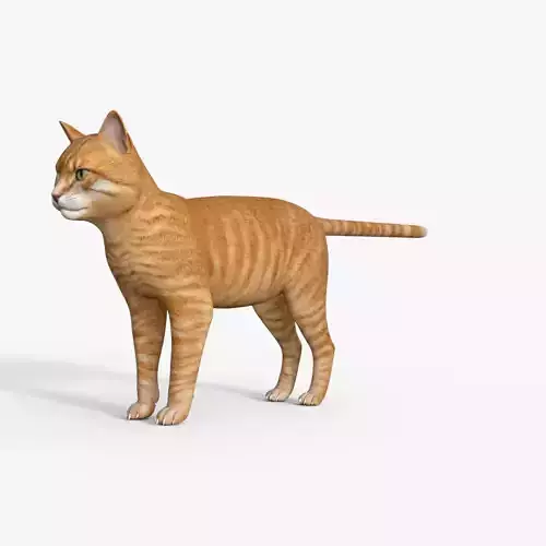 Yellow 3D Cat Rigged