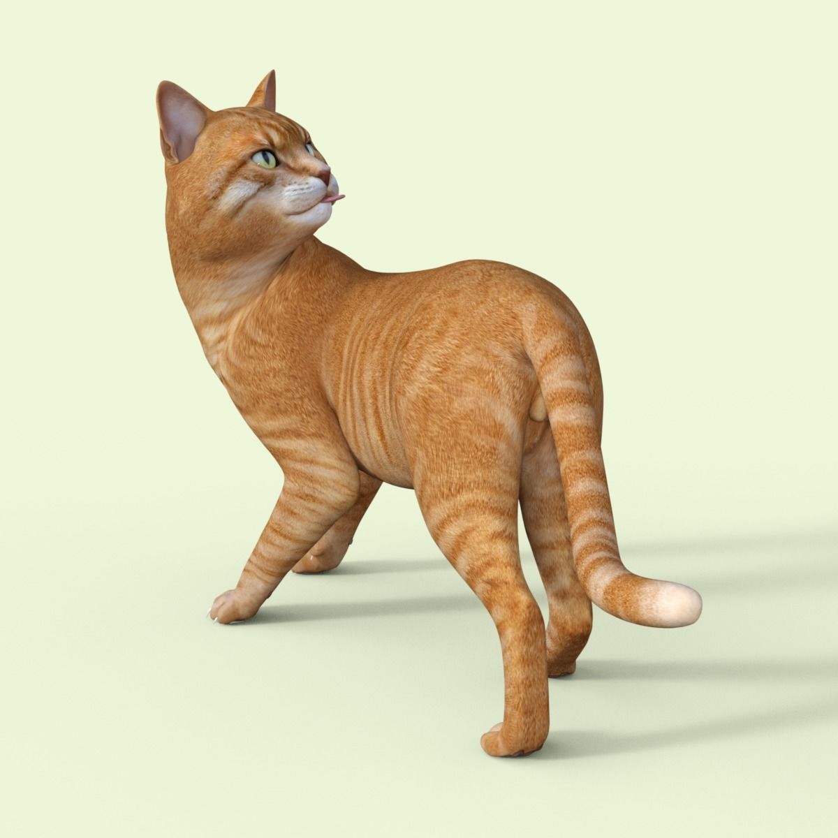 Yellow 3D Cat Rigged 3D model_24