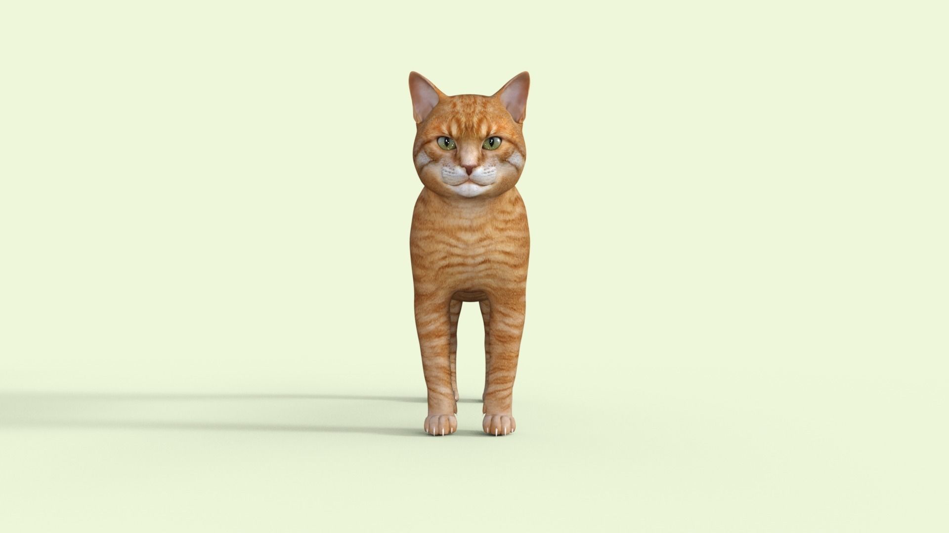 Yellow 3D Cat Rigged 3D model_25