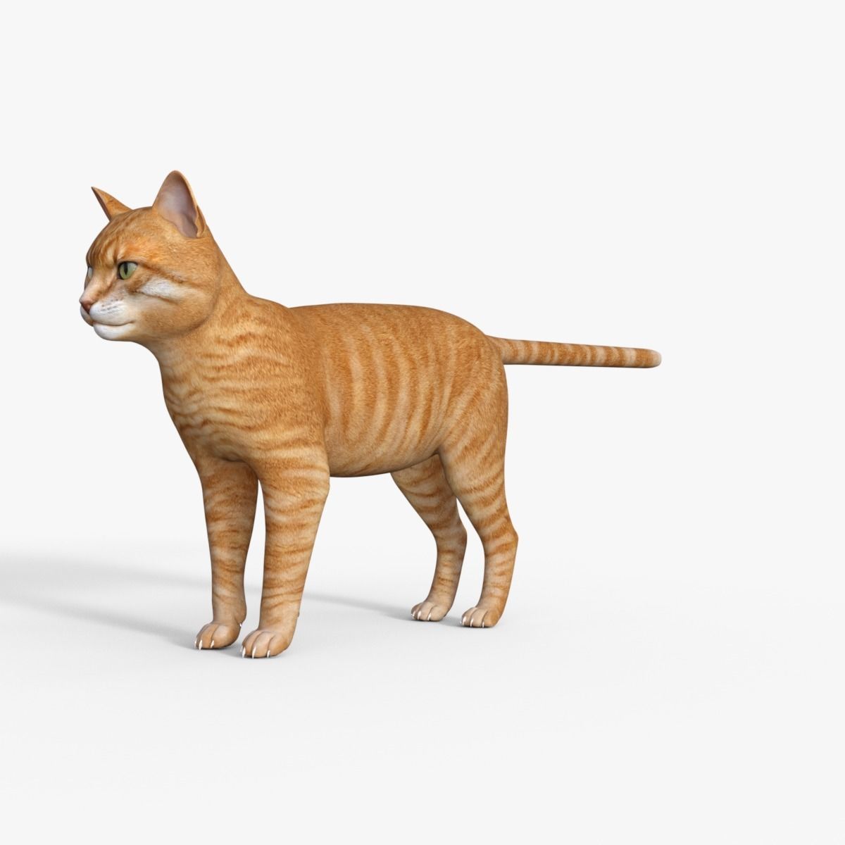 Yellow 3D Cat Rigged 3D model_10