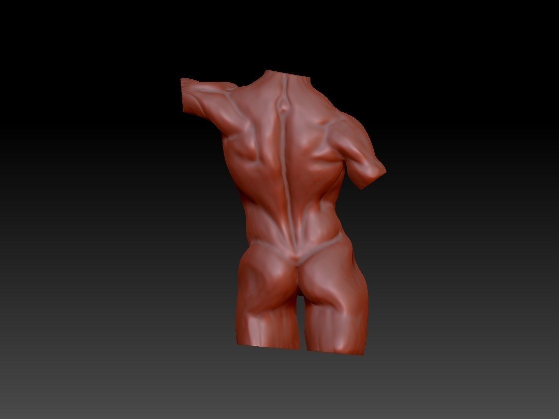 Male torso 3D print model_3