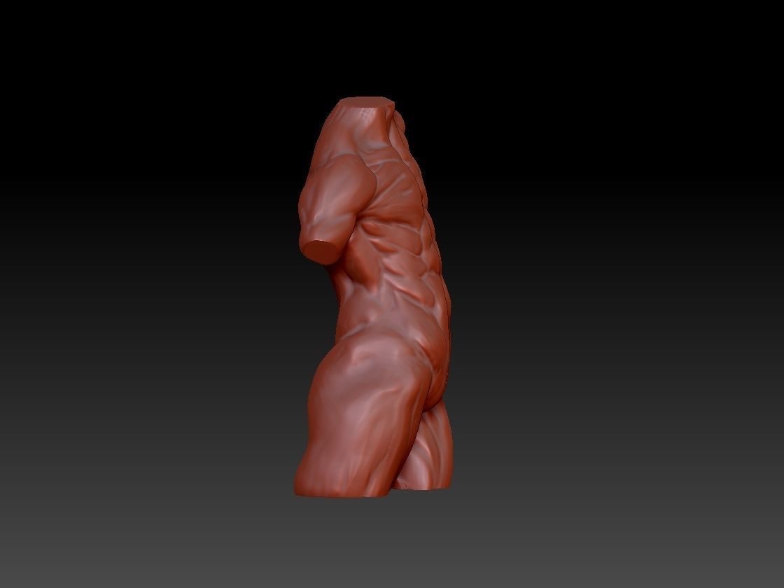 Male torso 3D print model_2