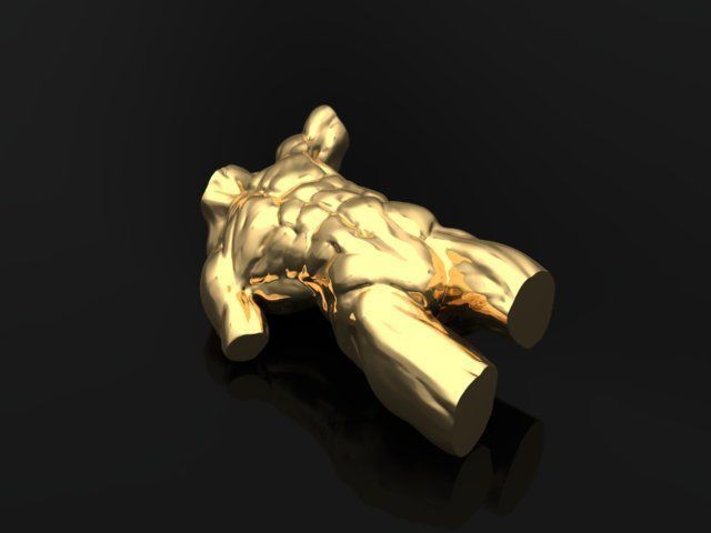 Male torso 3D print model_5