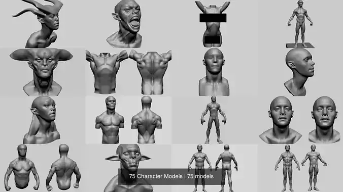 75 Character Models 3D Model Collection