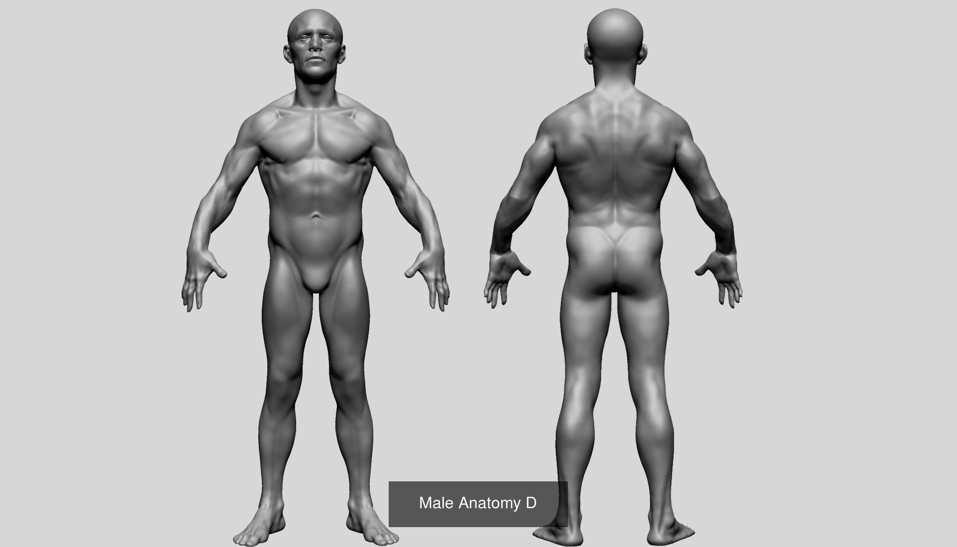 75 Character Models 3D Model Collection_23