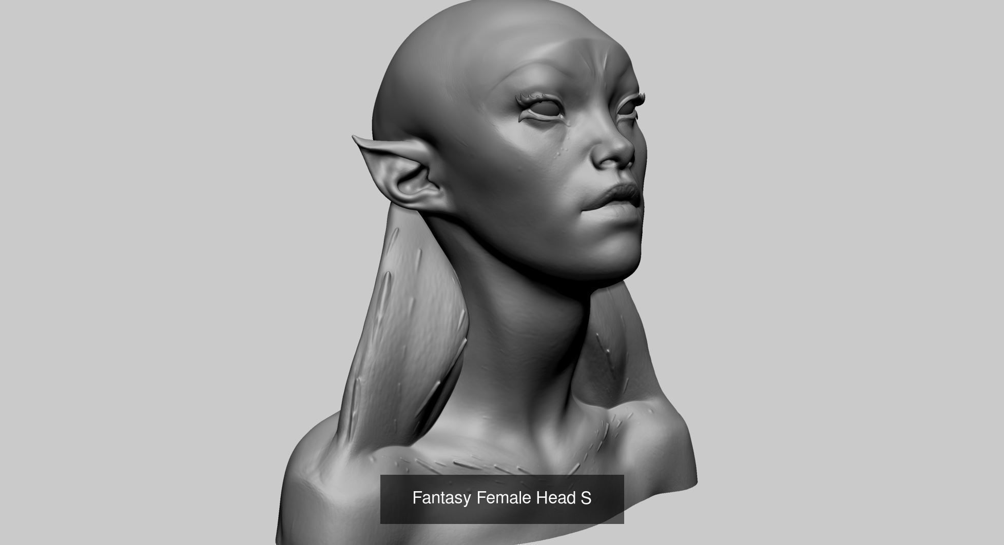 75 Character Models 3D Model Collection_17