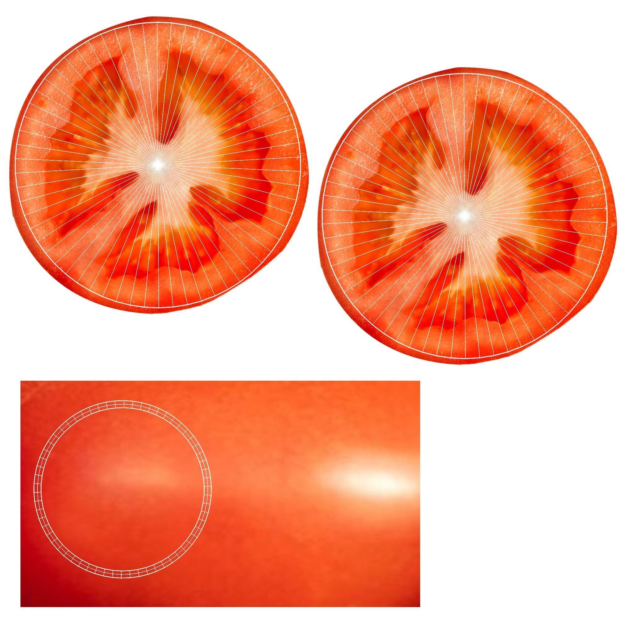 Prop10 A Slice of Tomato Low-poly 3D model_11