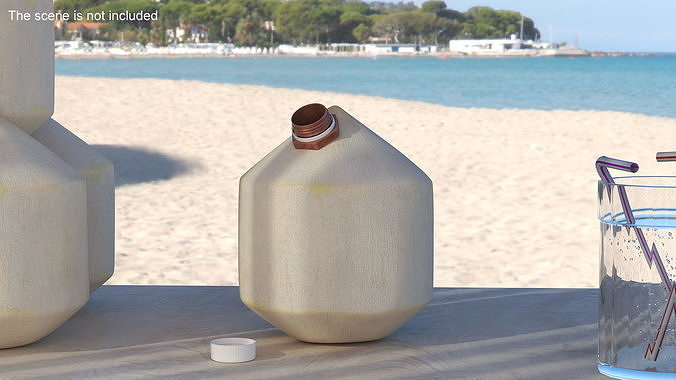 Young Shelled Tapped Coconut 3D model 2
