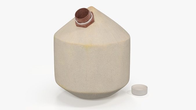 Young Shelled Tapped Coconut 3D model