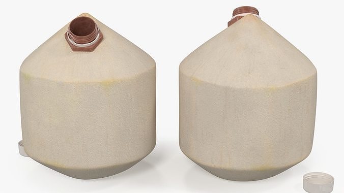 Young Shelled Tapped Coconut 3D model 7