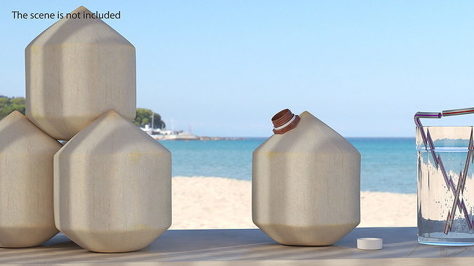 Young Shelled Tapped Coconut 3D model 3