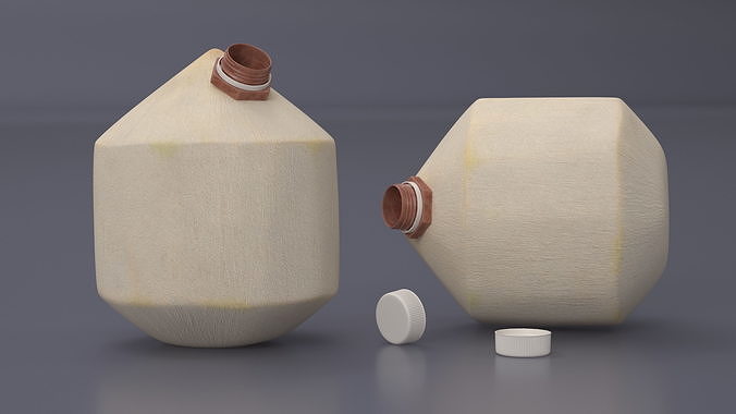 Young Shelled Tapped Coconut 3D model 5