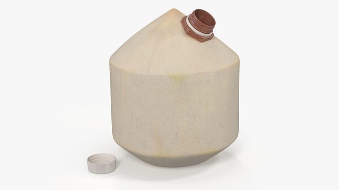 Young Shelled Tapped Coconut 3D model 6