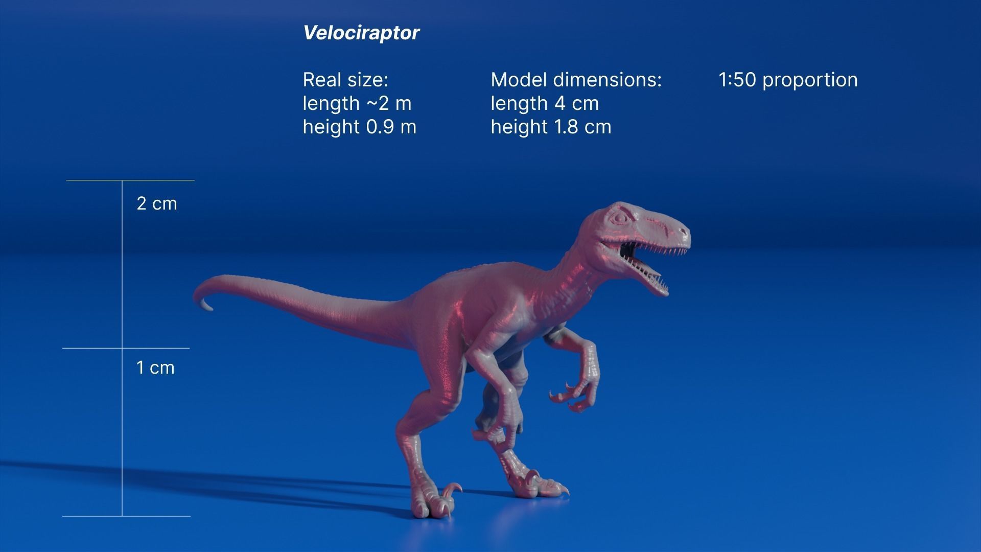 Dinosaurs Bundle Pack 5 Models for Printing 3D print model_29