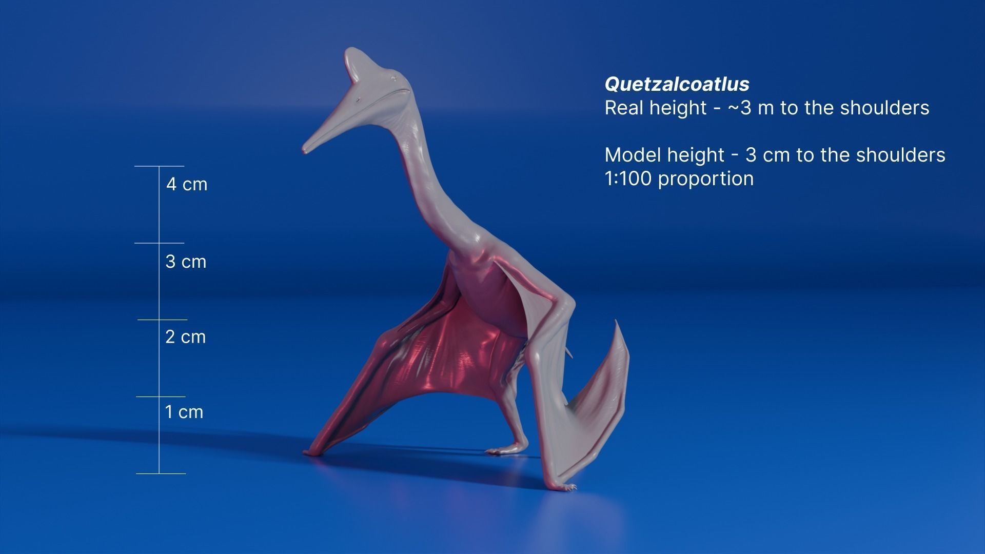 Dinosaurs Bundle Pack 5 Models for Printing 3D print model_19